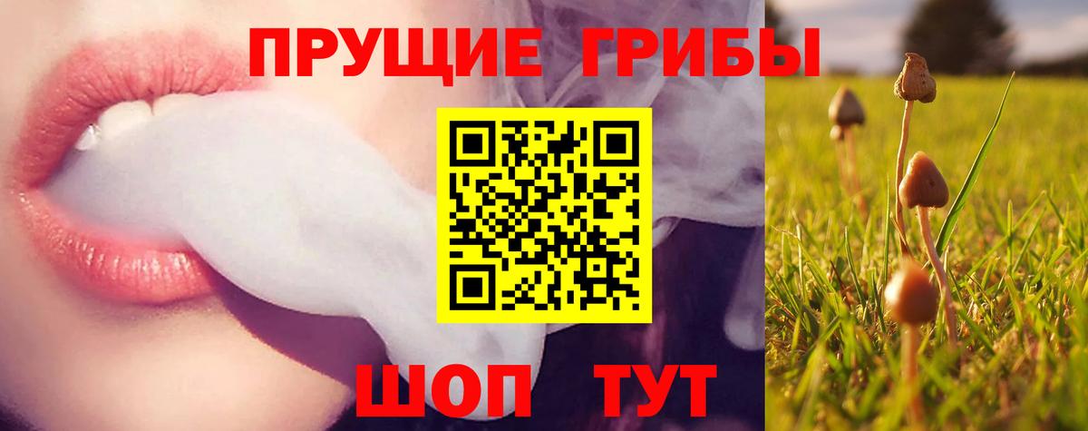 наркота  Вход с VPN  Каменск-Уральский  Галлюциногенные грибы Magic Shrooms  Галлюциногенные грибы Psilocybe 